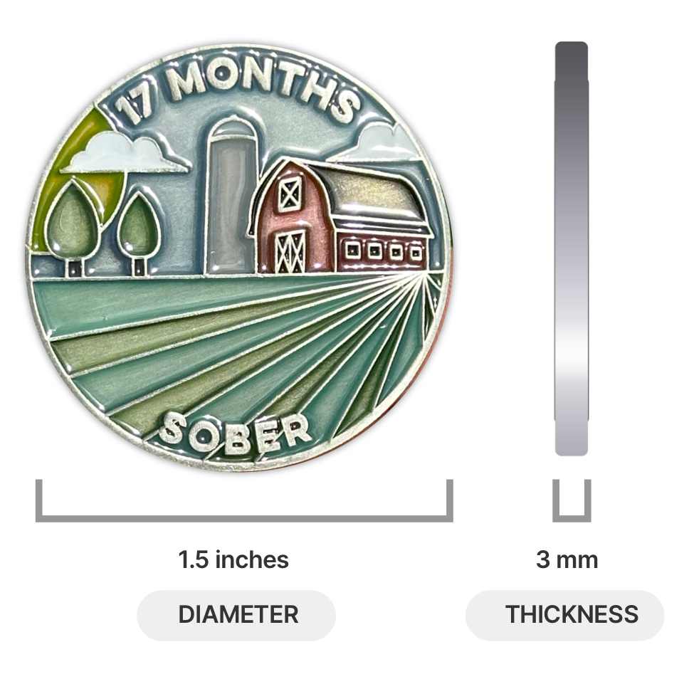 17 Months Sober sobriety coin