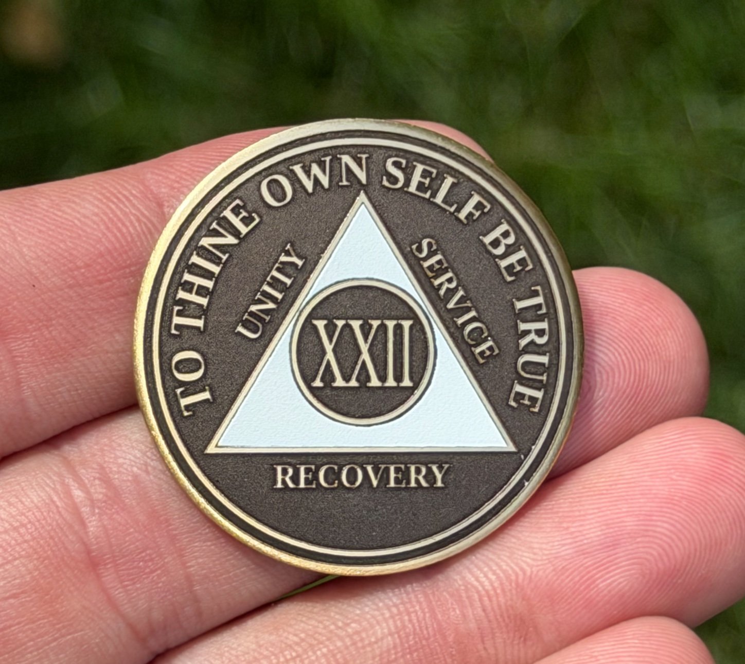 Custom Alien 22 Year Sobriety Coin — back