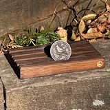 Photo of silver cardinal sobriety coin displayed on wooden stand with plants in background